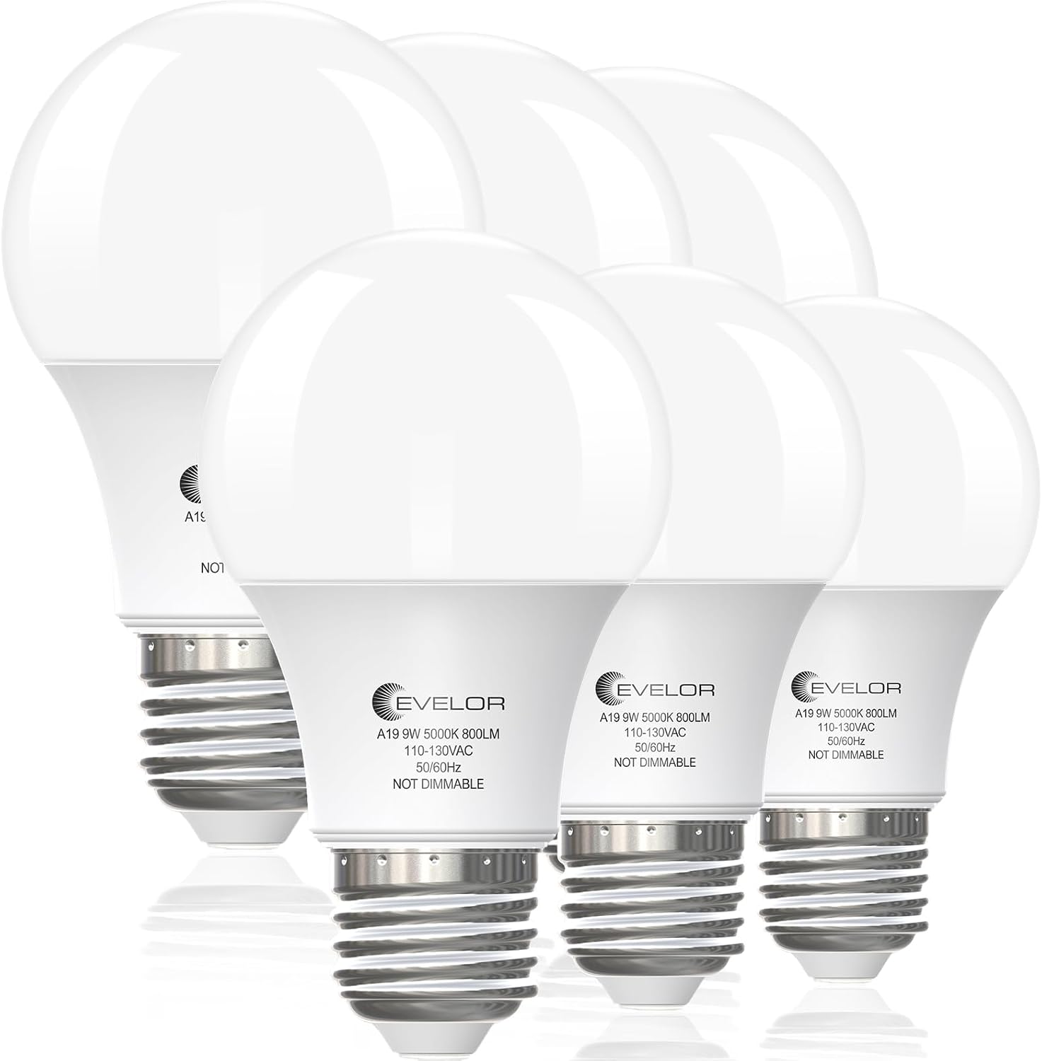 evelor A19 LED, Daylight 5000K, 6-Pack